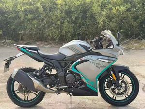 二手无极300RR