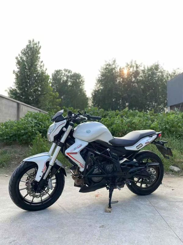 二手贝纳利蓝宝龙 BN302S