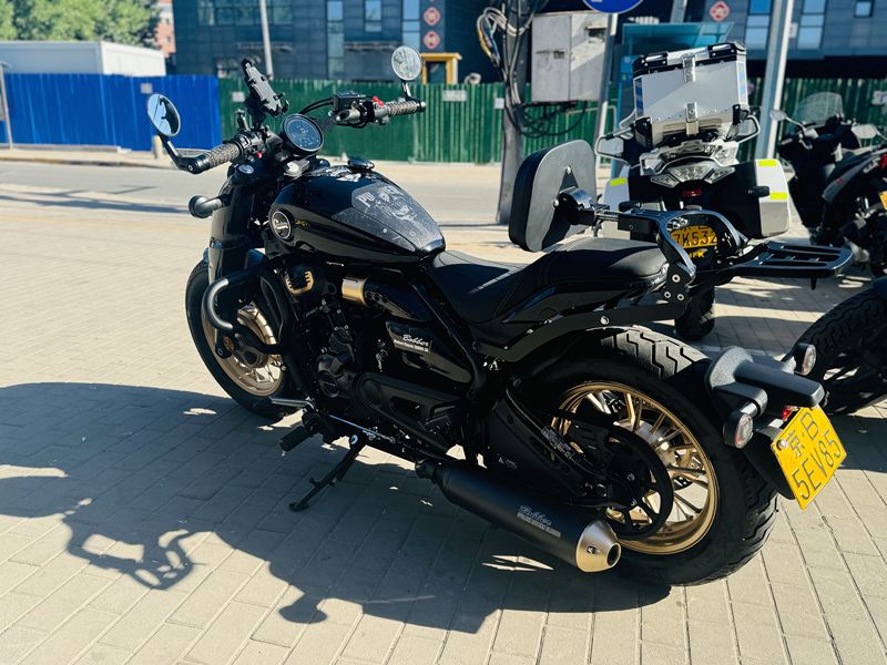 二手赛科龙RA600