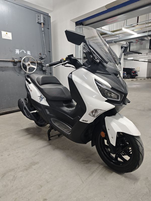 二手三阳Joymax Z 300