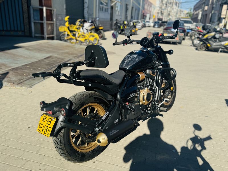 二手赛科龙RA600