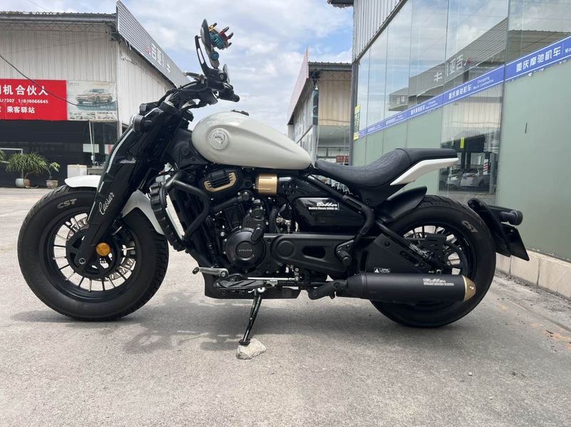 二手赛科龙RA600