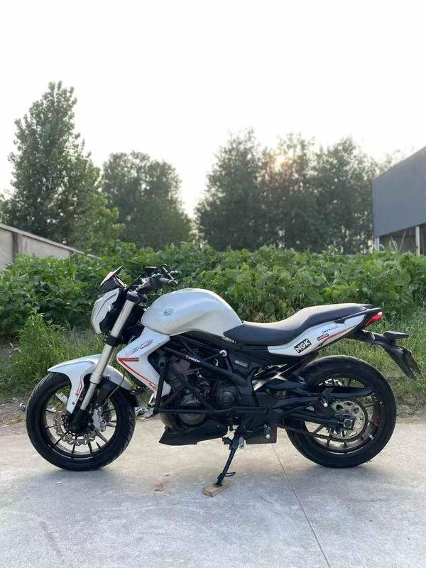 二手贝纳利蓝宝龙 BN302S