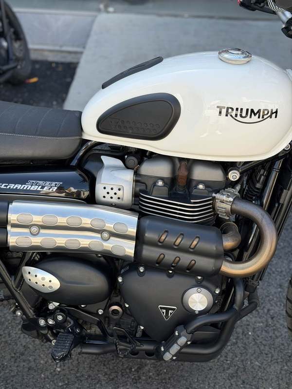 二手凯旋Scrambler 900