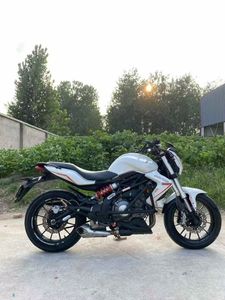 二手贝纳利蓝宝龙 BN302S