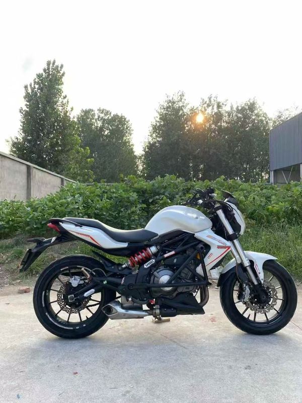 二手贝纳利蓝宝龙 BN302S
