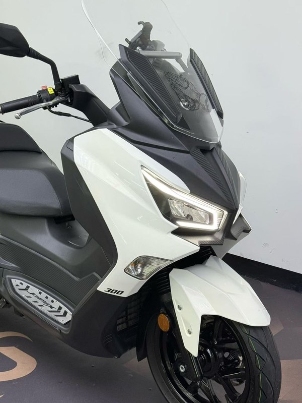 二手三阳Joymax Z 300