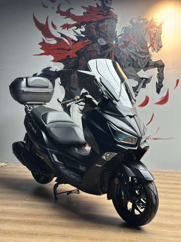 二手三阳Joymax Z 300