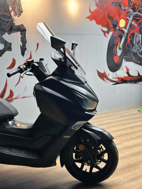 二手三阳Joymax Z 300