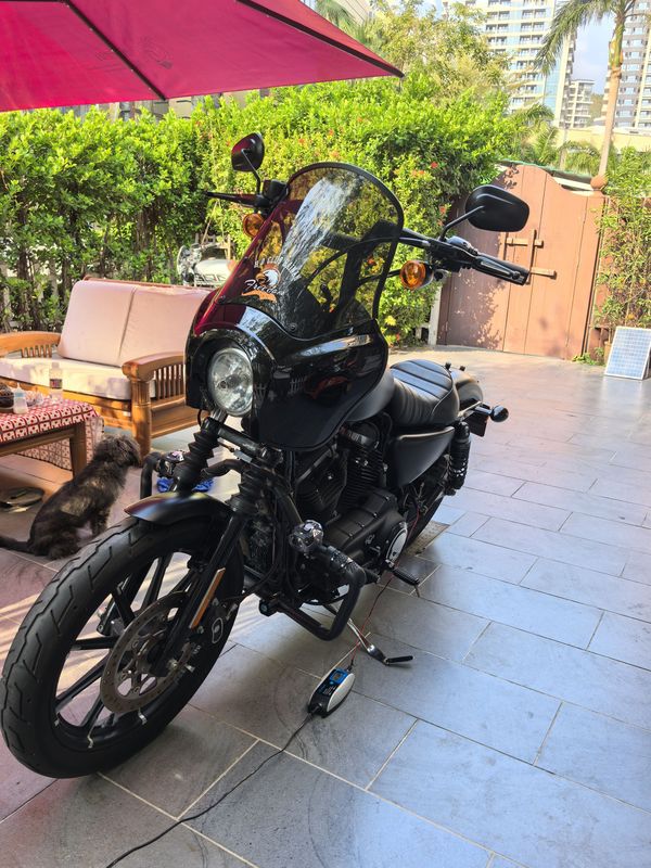 二手哈雷戴维森Iron883 硬汉