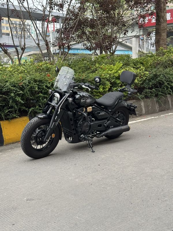 二手赛科龙RA600
