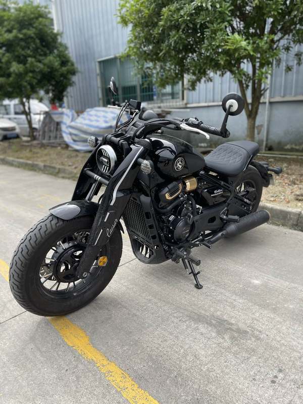 二手赛科龙RA600