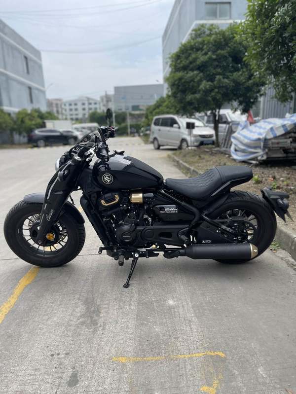 二手赛科龙RA600