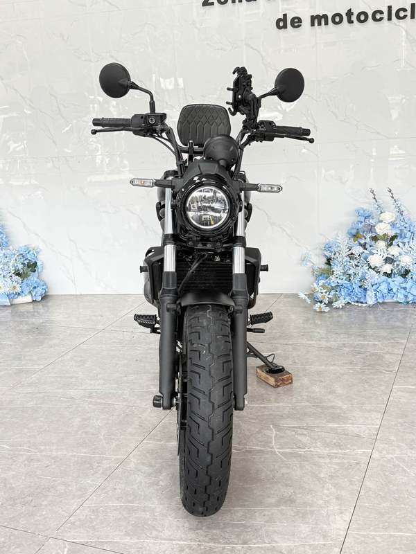 二手川崎Eliminator 500