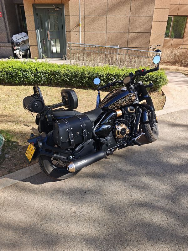 二手赛科龙RA600