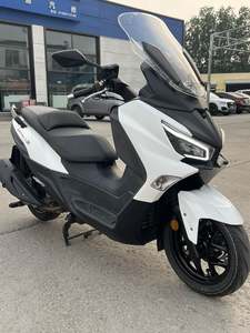 二手三阳Joymax Z 300