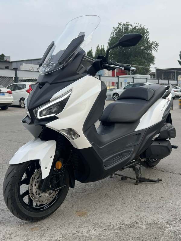 二手三阳Joymax Z 300
