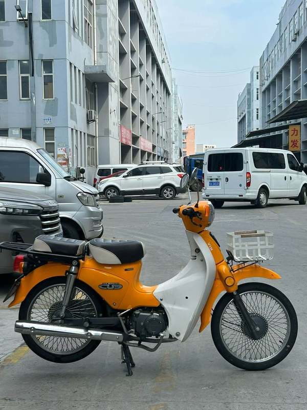二手洛嘉后浪