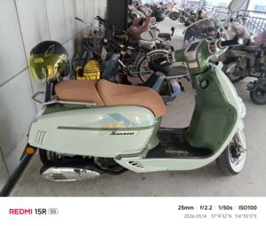 二手维多利亚Sixties 150Si