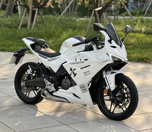 二手赛科龙RC250