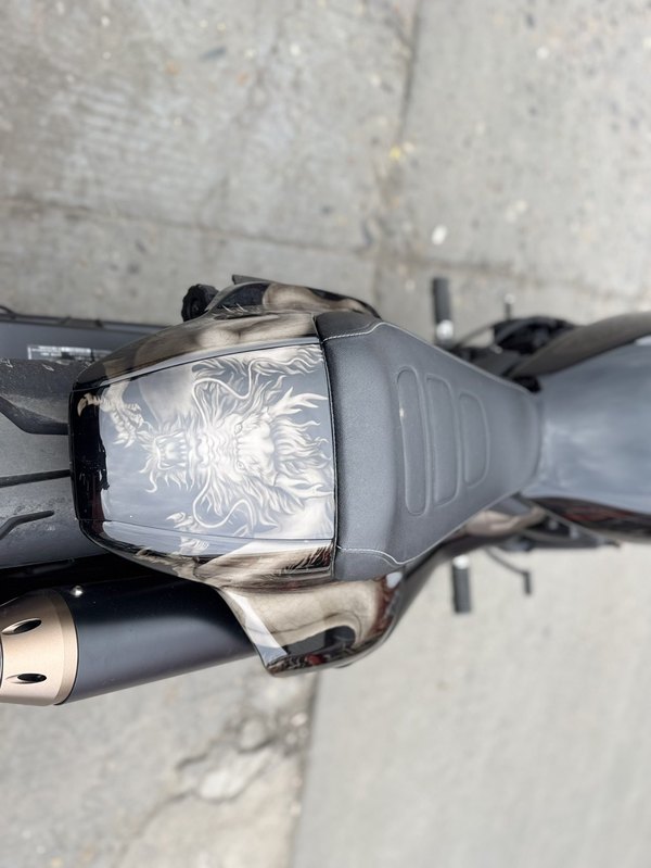 二手哈雷戴维森Sportster S