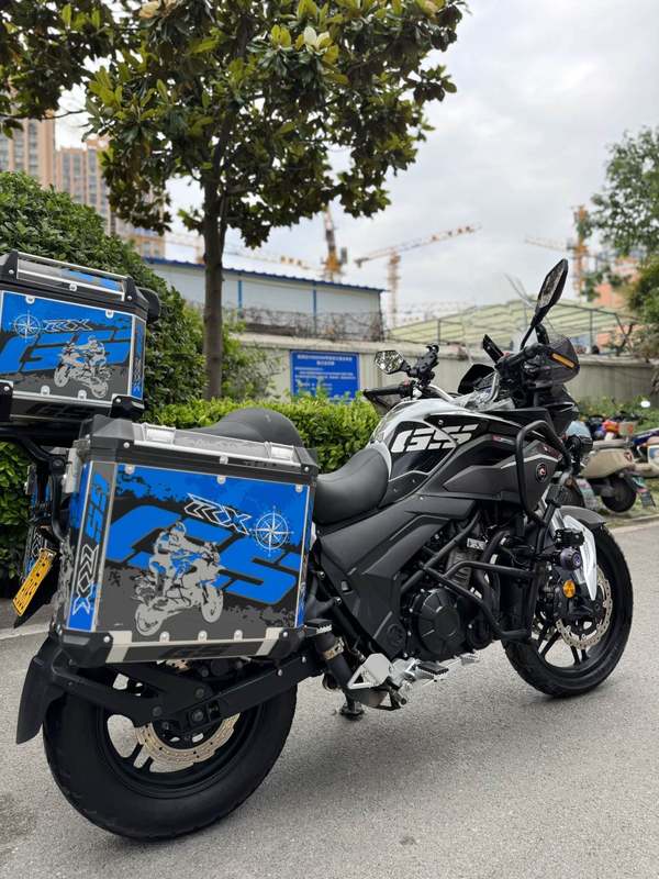二手赛科龙RX3S