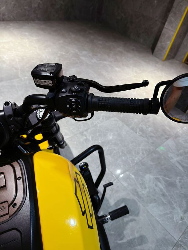 二手哈雷戴维森Sportster S