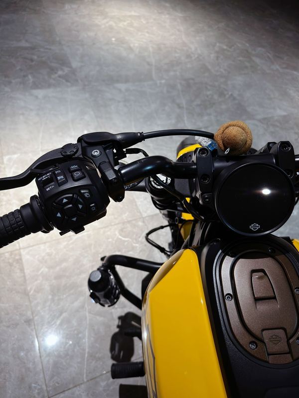 二手哈雷戴维森Sportster S