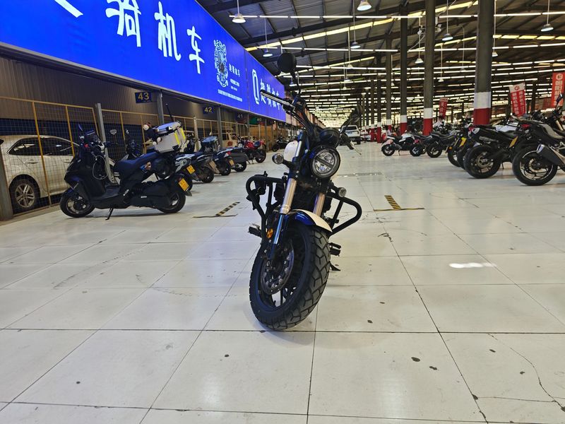 二手赛科龙RA401