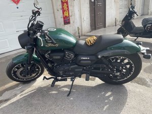 二手庄威V400