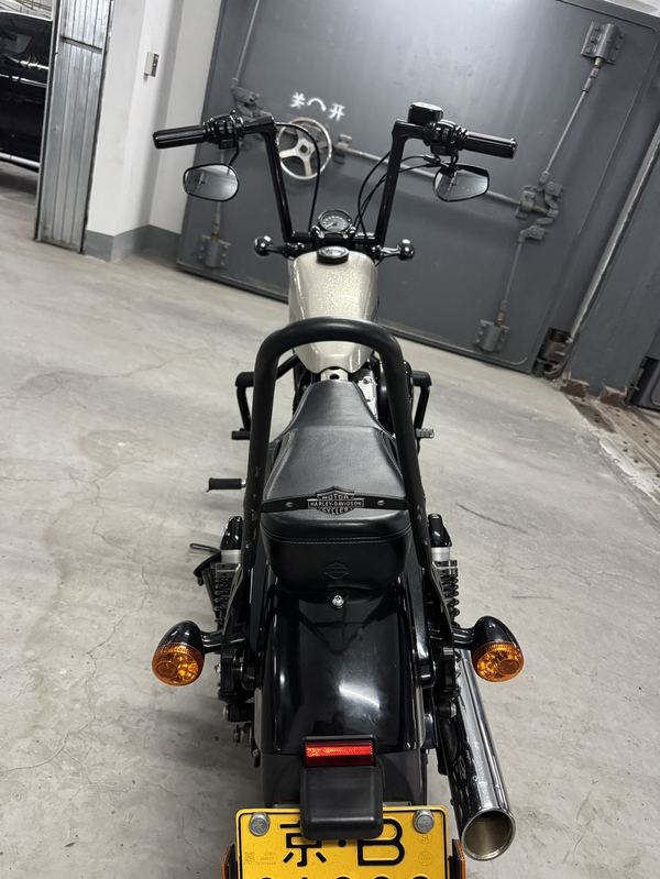 二手哈雷戴维森XL1200X Forty-Eight