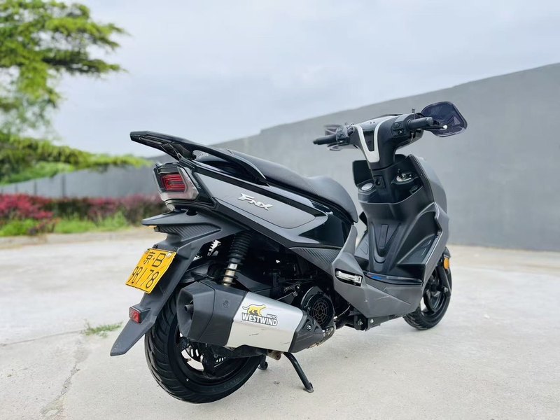 二手三阳FNX150