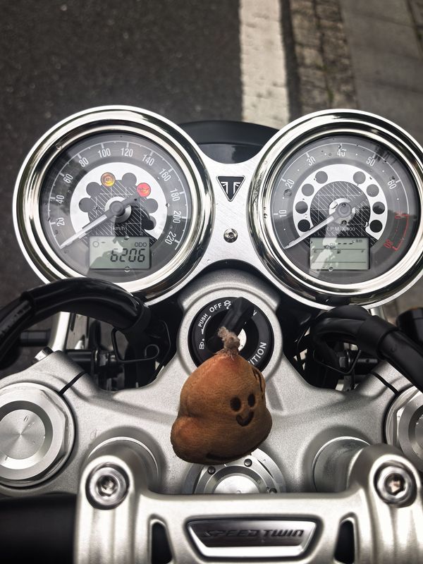 二手凯旋Speed Twin 1200