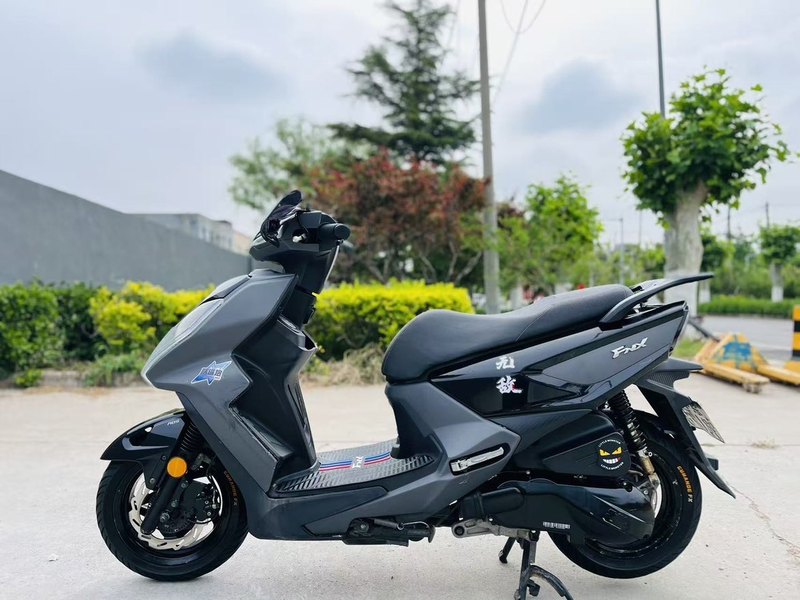 二手三阳FNX150