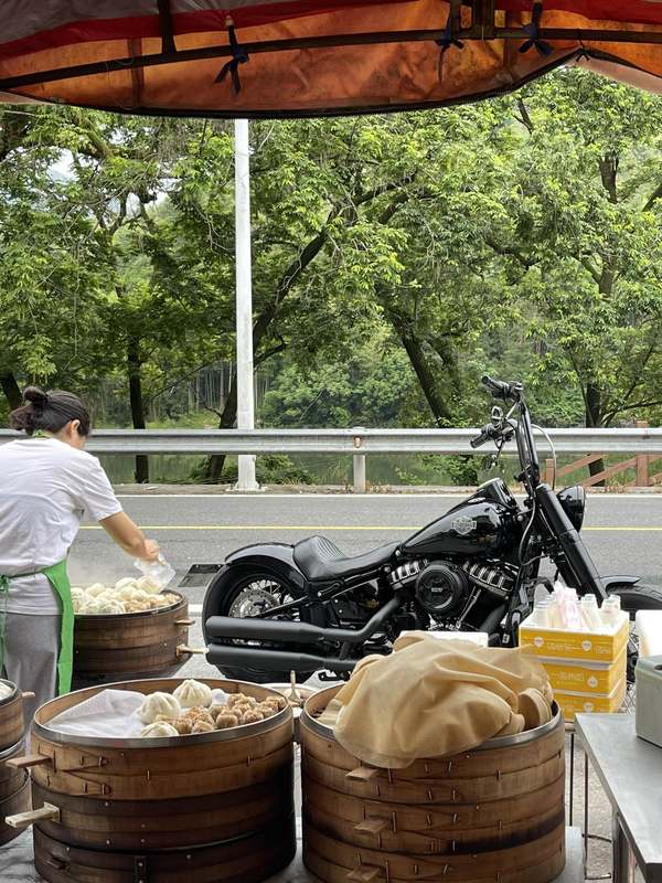 二手哈雷戴维森软尾司令Softail Slim