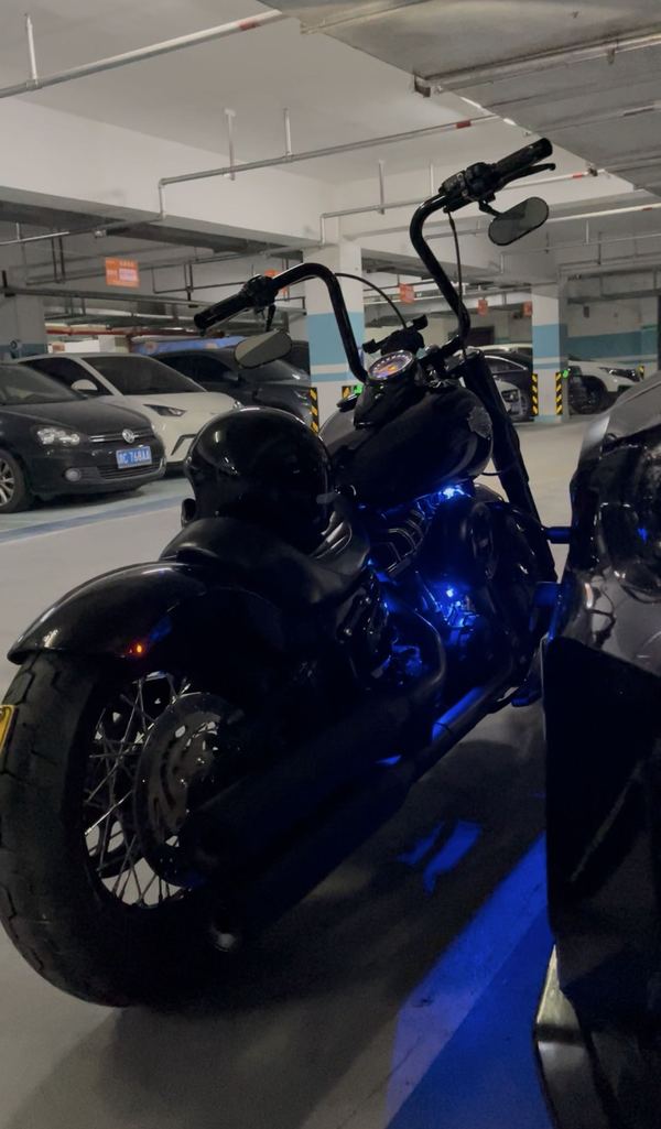 二手哈雷戴维森软尾司令Softail Slim