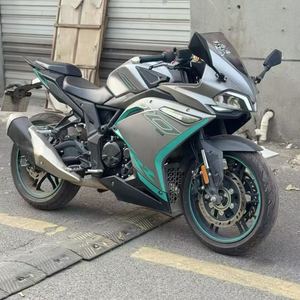 二手无极300RR