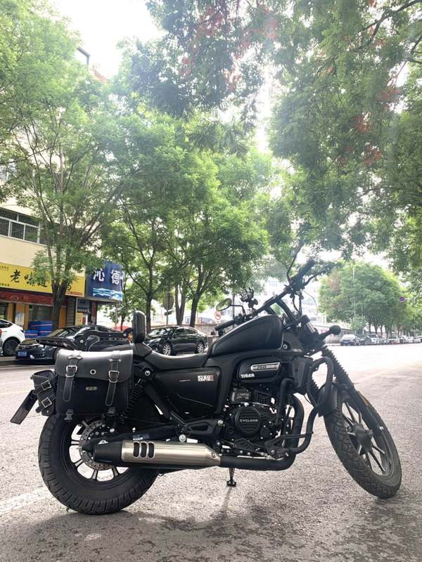 二手赛科龙RA250
