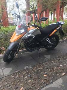二手赛科龙RX1