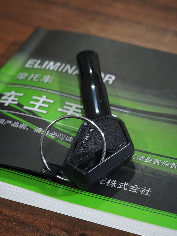 二手川崎Eliminator 500