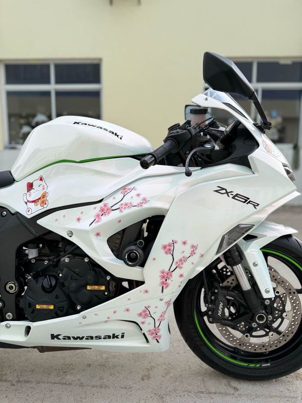 二手川崎Ninja ZX-6R 