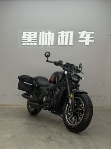 二手QJMOTOR闪250