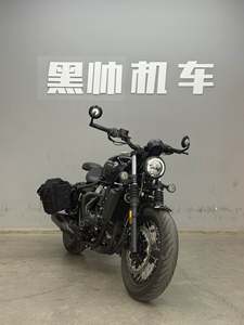 二手长江Bobbie Ⅱ 450S