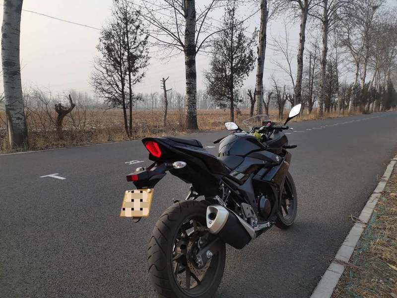二手豪爵铃木GSX250R