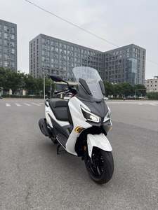 二手三阳Joymax Z 300