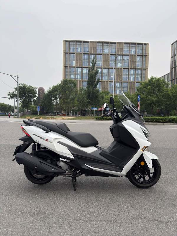 二手三阳Joymax Z 300