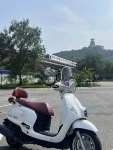 二手三阳Fiddle