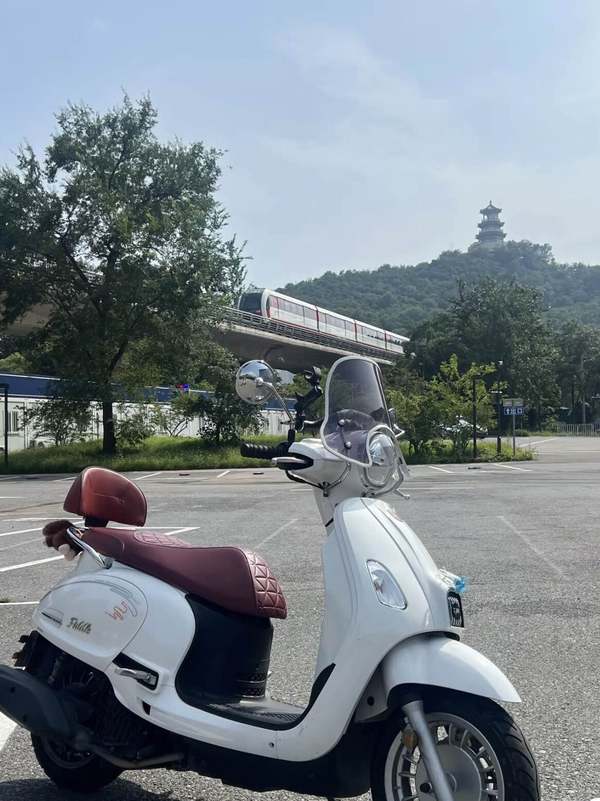 二手三阳Fiddle