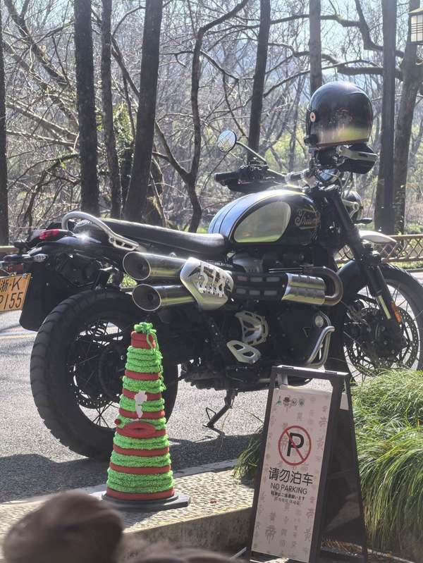 二手凯旋Scrambler 1200
