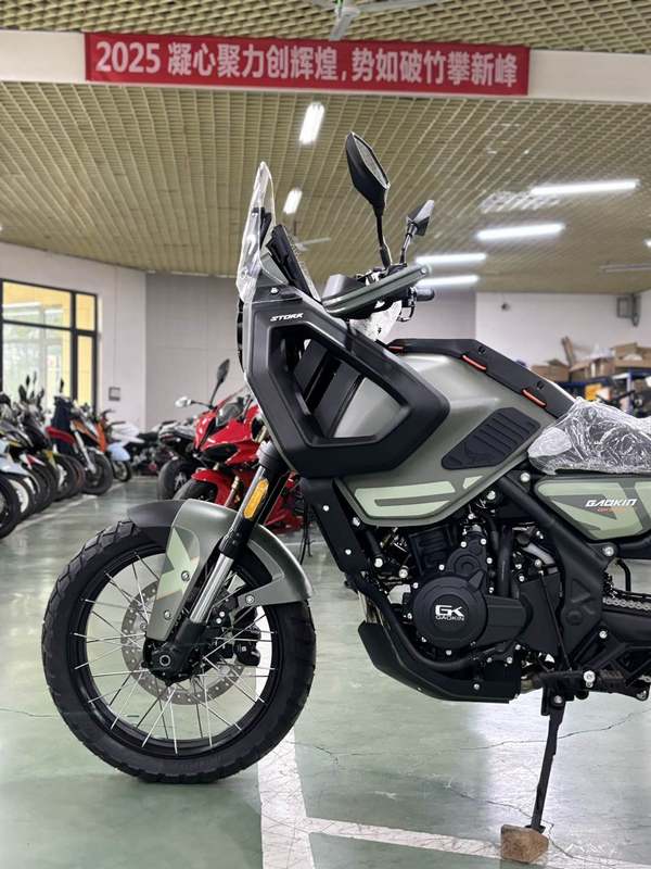 二手高金Storr500